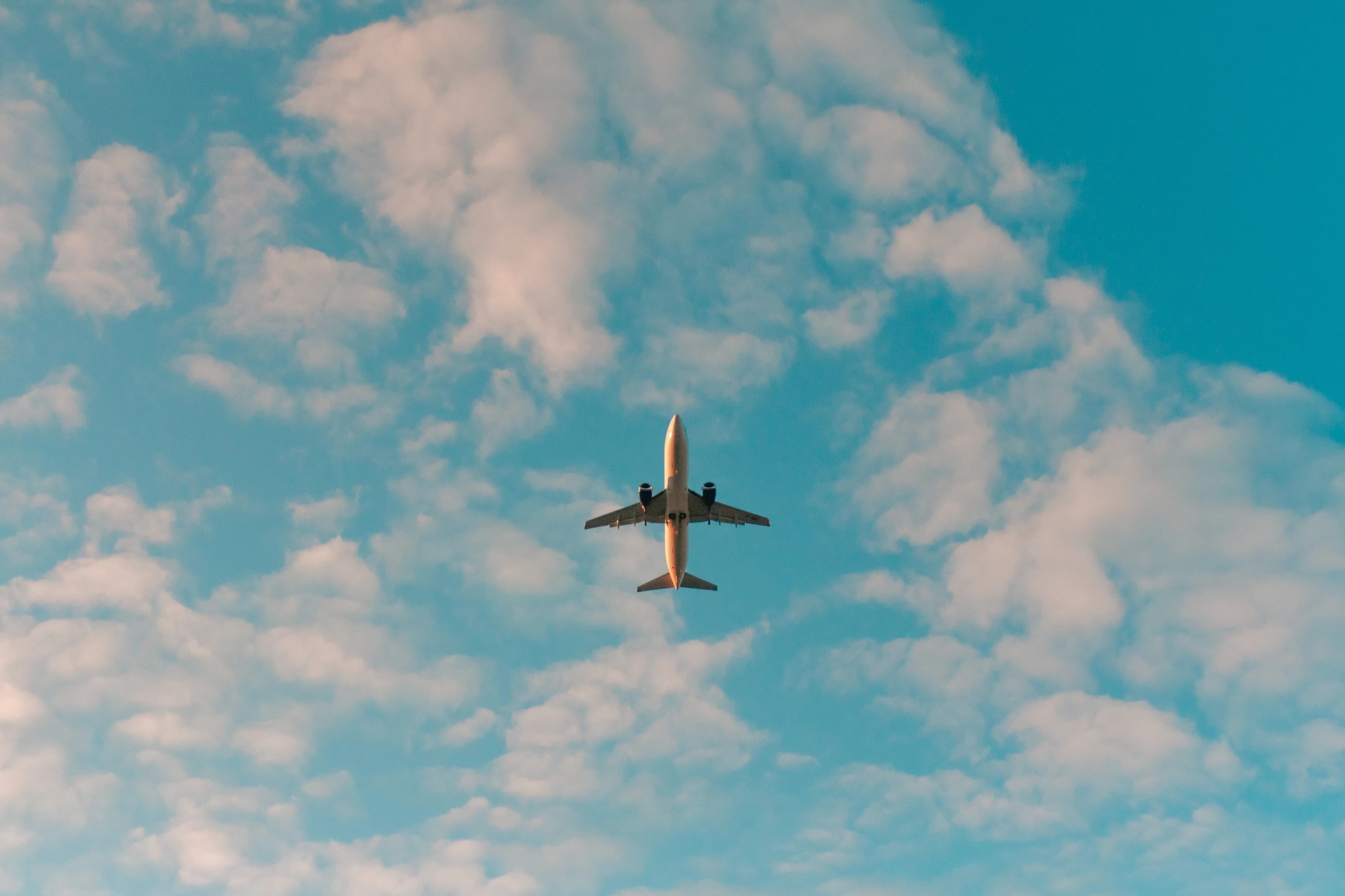 Detailed view of air freight logistics